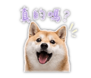 839401777