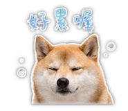 839401778