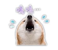 839401779
