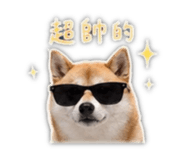 839401780