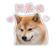 839401782