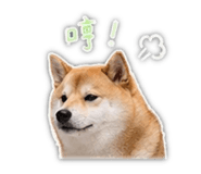 839401783