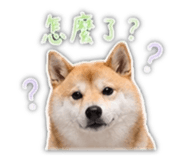 839401784