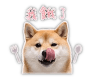 839401785