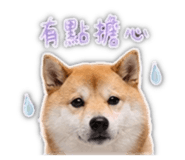 839401788