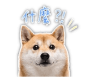 839401790