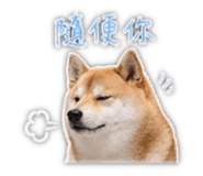 839401793