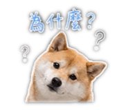 839401797