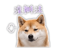 839401799