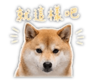 839401800