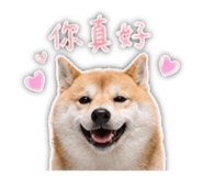 839401801