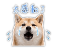839401802