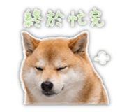 839401803