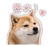 839401804