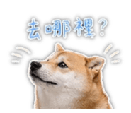 839401805