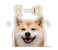 839401806