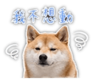 839401807
