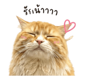 839403407