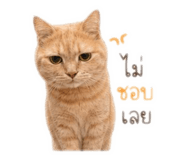 839404383