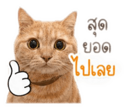 839404384