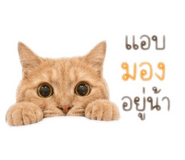 839404388