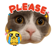 839404619