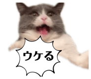 839404620