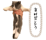 839404623