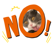 839404625