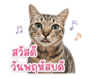 839404711