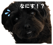 839404830