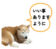 839404834
