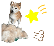 839404838