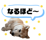 839404840