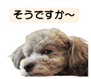 839405258