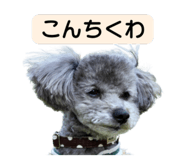 839405264