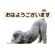 839405269
