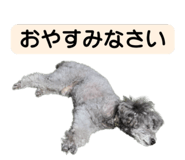 839405274