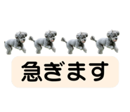 839405285
