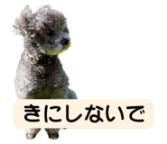 839405290