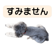 839405291