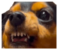839405321