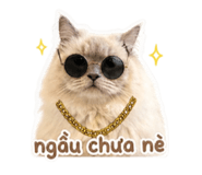 839405581