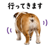 839405624