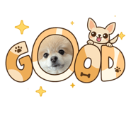 839405883