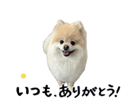 839405885