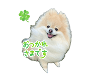 839405891