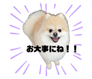 839405905