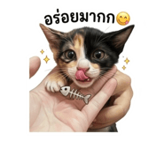 839406163
