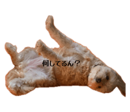 839413437